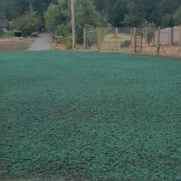 Freshly hydroseeded green lawn area with nearby fences and wooded background in a residential setting.