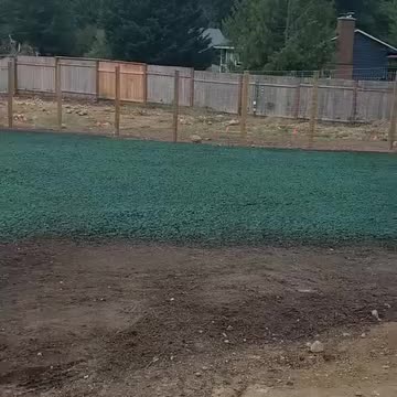 Fresh hydroseed application on residential lawn near wooden fence in Snoqualmie.