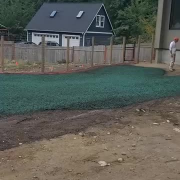 Freshly applied hydroseed lawn near a custom home with fencing in Washington state.