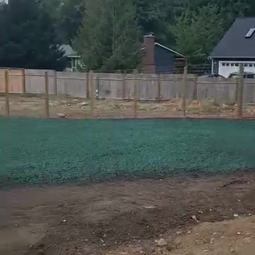 Freshly applied green hydroseed lawn on residential property with wooden fence background.