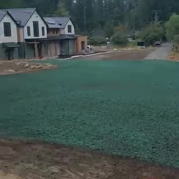 Hydroseed lawn installed on new custom home site in forested Snoqualmie area.