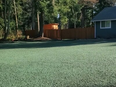 House with a green lawn and trees in the background.