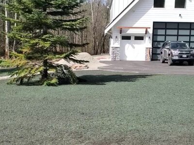 Freshly hydroseeded lawn in front of modern house with driveway and vehicle.