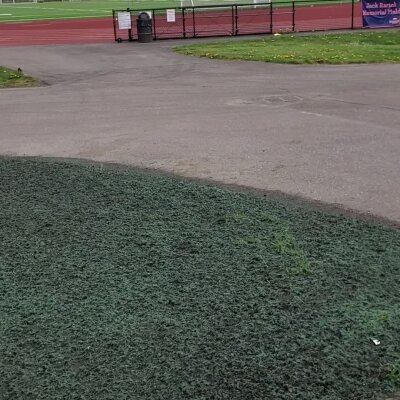 Running track and field with pathway and grass, overcast weather.