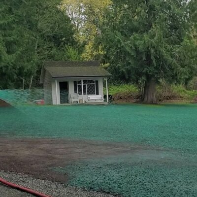 Small garden shed on green grass with trees in background.