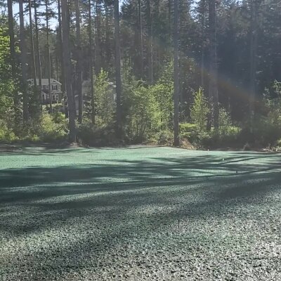 Freshly hydroseeded lawn in a forested Washington state area.