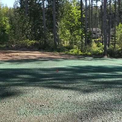 Fresh hydroseeding on residential lawn in Washington with surrounding trees.