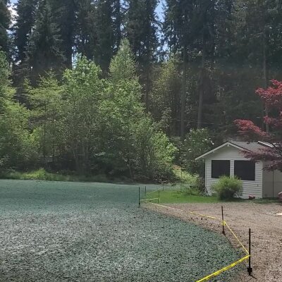 Hydroseeded lawn with small white building and surrounding trees.