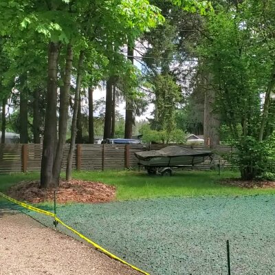Hydroseeded lawn with boat and trees in Washington state