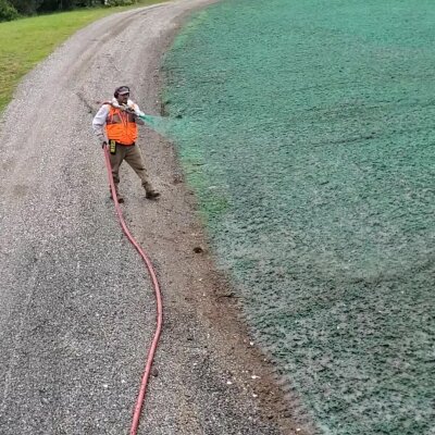 Worker hydroseeding lawn with spray equipment in Washington State.