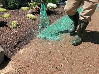 Worker hydroseeding lawn with green slurry in Washington State.