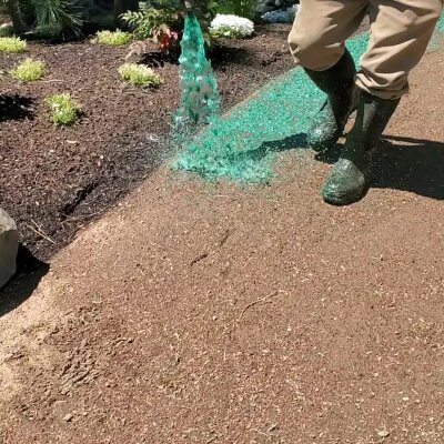 Worker hydroseeding lawn with green slurry in Washington State.
