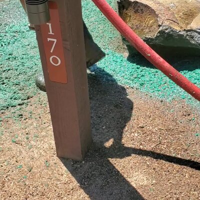 Fresh hydroseeding process with green mulch on ground and hose in sunny lawn.