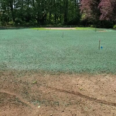 Hydroseeded lawn with marked areas in sunny Washington.