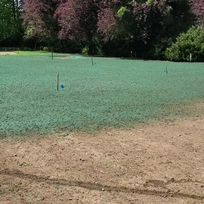 Freshly hydroseeded lawn with markers in sunny Washington State.