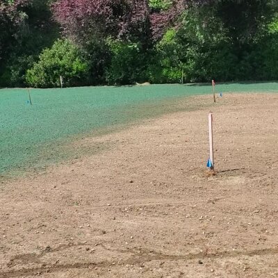 Hydroseeded lawn with visible green slurry and soil markers in Washington state.