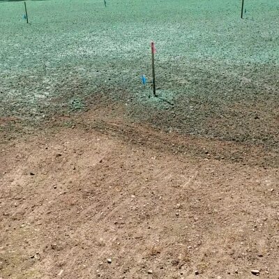 Hydroseeding process on lawn with visible soil and green mulch.