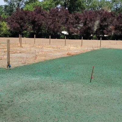 Freshly hydroseeded lawn with green mulch in Washington State.