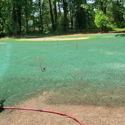 Freshly hydroseeded lawn with green mulch and markers in Washington State.