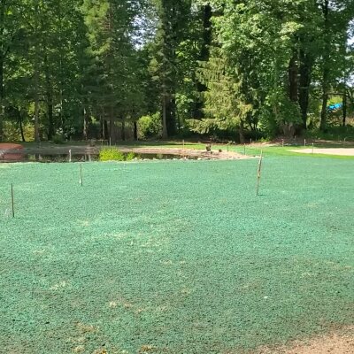 Freshly hydroseeded lawn with surrounding trees in Washington state.