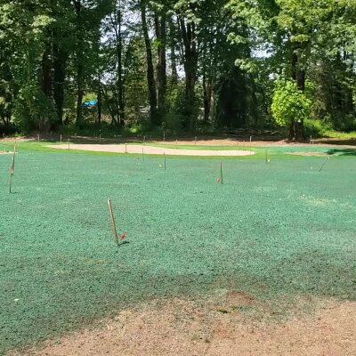 Newly hydroseeded lawn with marker flags in Washington State.
