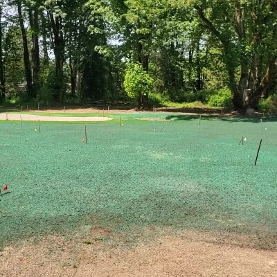 Freshly hydroseeded lawn with green mulch in forested area in Washington state.