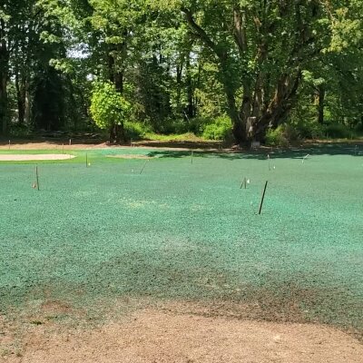 Lawn during hydroseeding process with green mulch, stakes and trees in Washington State.
