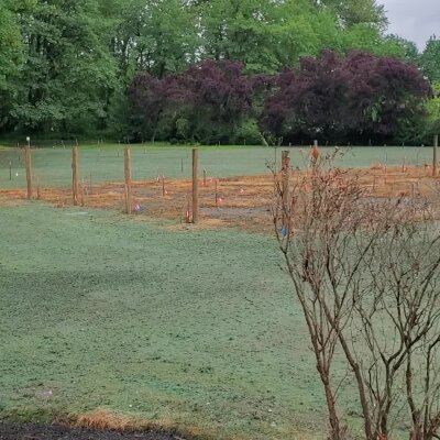 Freshly hydroseeded lawn with marked wooden stakes, Washington state.