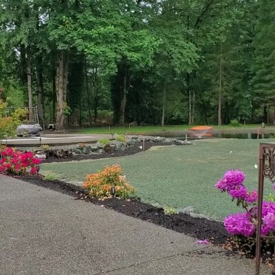 Freshly hydroseeded lawn with colorful flowers in Washington state.