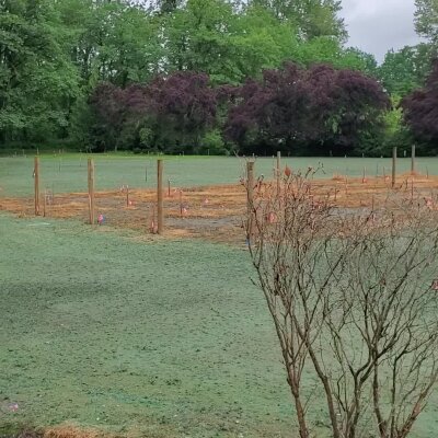 Recently hydroseeded lawn with marked posts in a residential area.