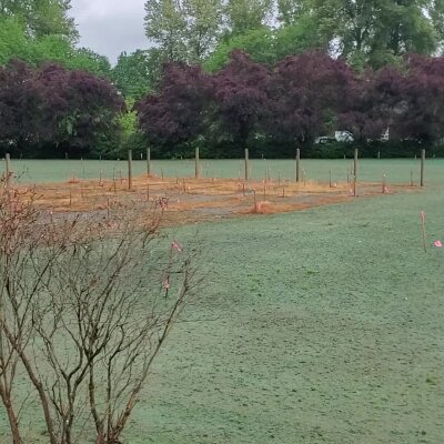 Lawn preparation for hydroseeding with marked stakes in Washington state