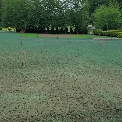 Freshly hydroseeded lawn with marker flags in Washington State.