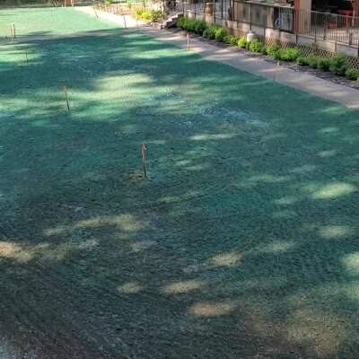 Freshly hydroseeded lawn with visible markers near residential area.