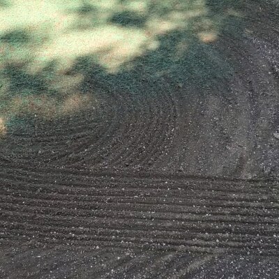 Freshly hydroseeded lawn with visible slurry application in Washington.