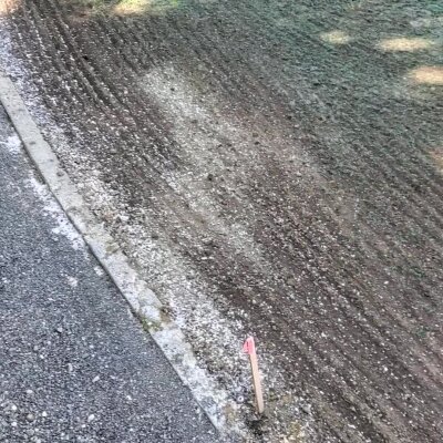 Freshly hydroseeded lawn with visible slurry and marker in Washington State.