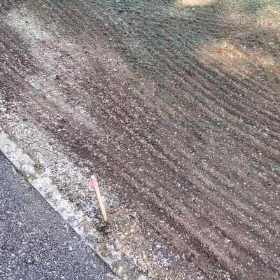 Freshly hydroseeded lawn with visible seed mixture and marker flag.