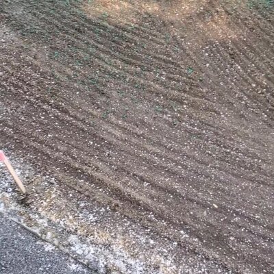 Fresh hydroseed application on prepared soil with visible green mulch.