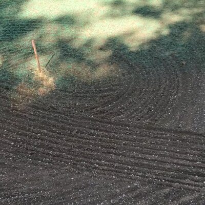 Freshly hydroseeded lawn with visible seed mixture in Washington.