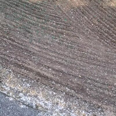 Freshly hydroseeded lawn soil in Washington State.