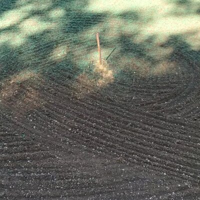 Freshly hydroseeded lawn with visible seed mixture and straw.