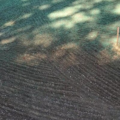 Newly hydroseeded lawn area in progression.