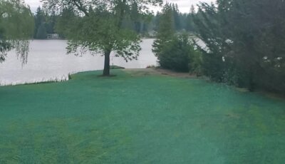 Hydroseeding process in action on a lush Washington lawn by a lakeside.