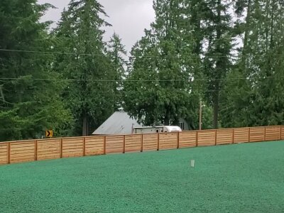 Freshly hydroseeded lawn with wooden fence and trees in Washington state.