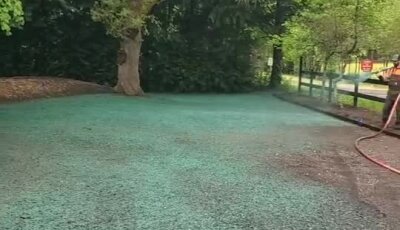 Hydroseeding lawn application with green seed mulch on dirt area near trees.