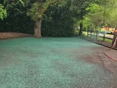 Hydroseeding lawn application with green seed mulch on dirt area near trees.