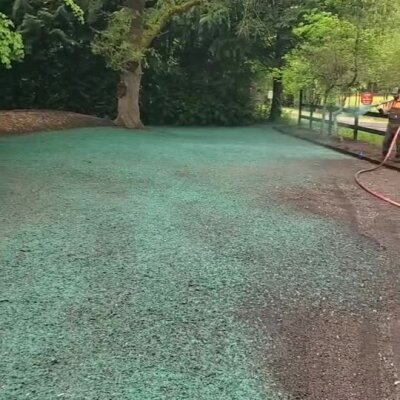 Hydroseeding lawn application with green seed mulch on dirt area near trees.