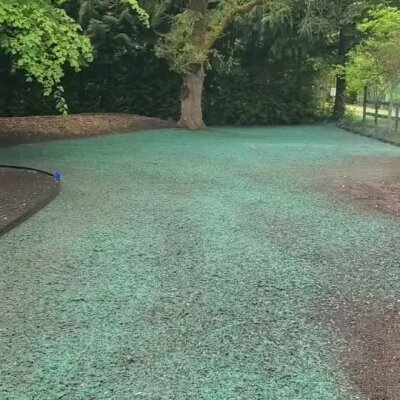 Newly hydroseeded lawn area with green seed mulch in Washington State yard.