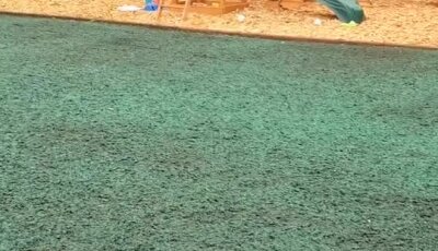 Fresh hydroseed applied near children