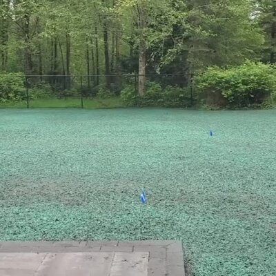 Newly applied hydroseed lawn with blue seed markers in backyard, Washington state.