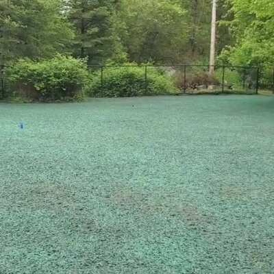 Freshly hydroseeded lawn with green seed mulch in a residential backyard.
